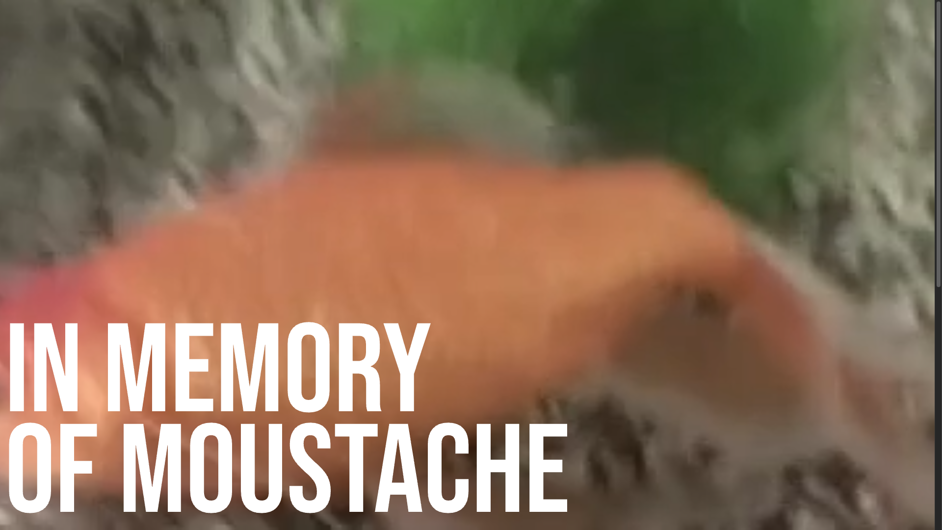 Day 1: Mustache