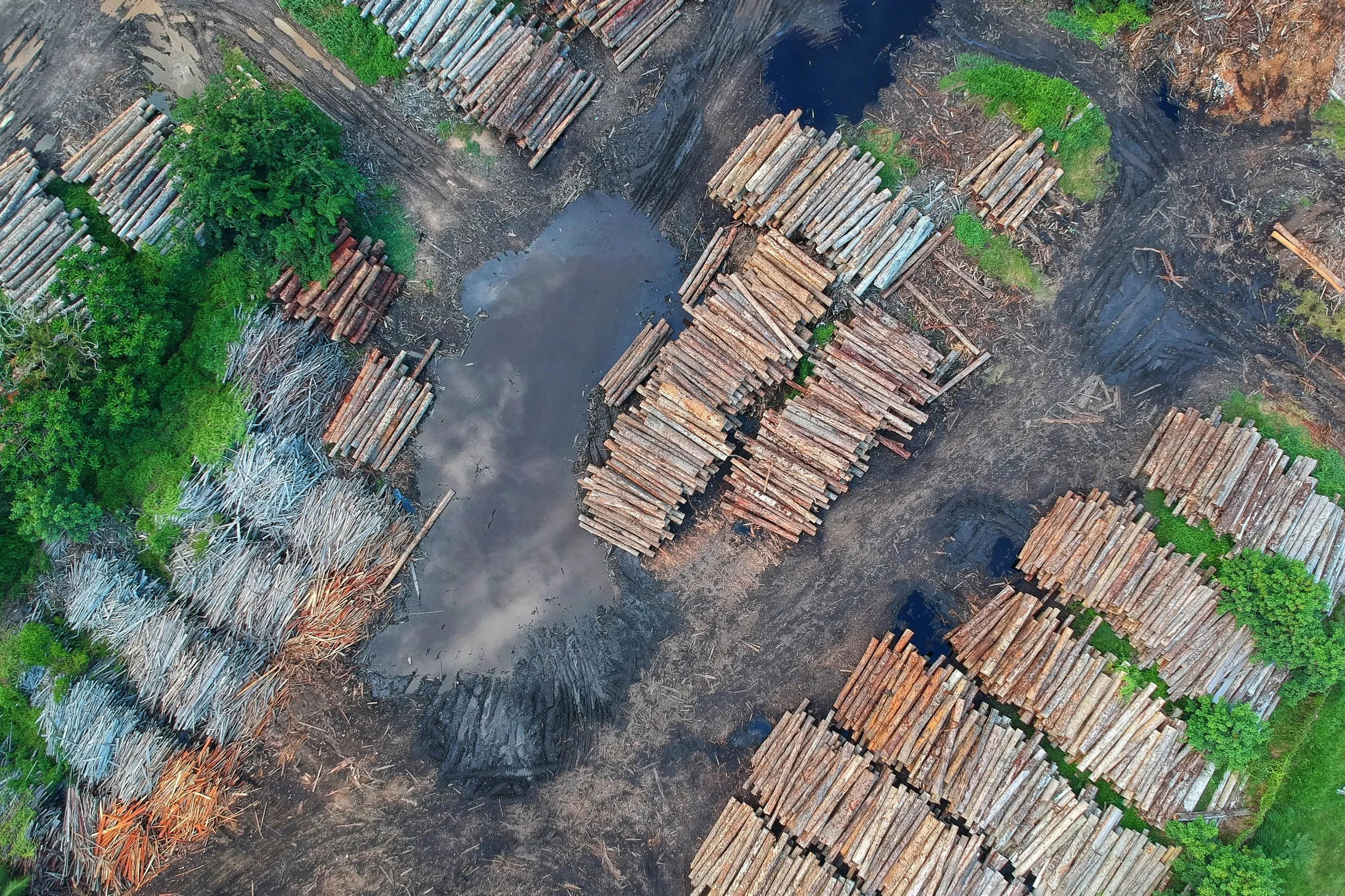 Amazon vs Congo